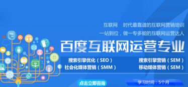 搜索引擎優化（SEO）的分類及其在互聯網銷售中的應用